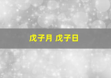 戊子月 戊子日